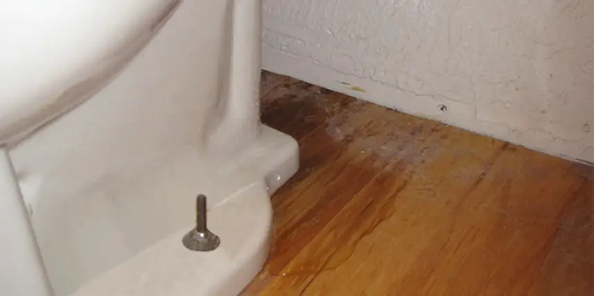 Fixing toilet leak in Beaverton bathroom