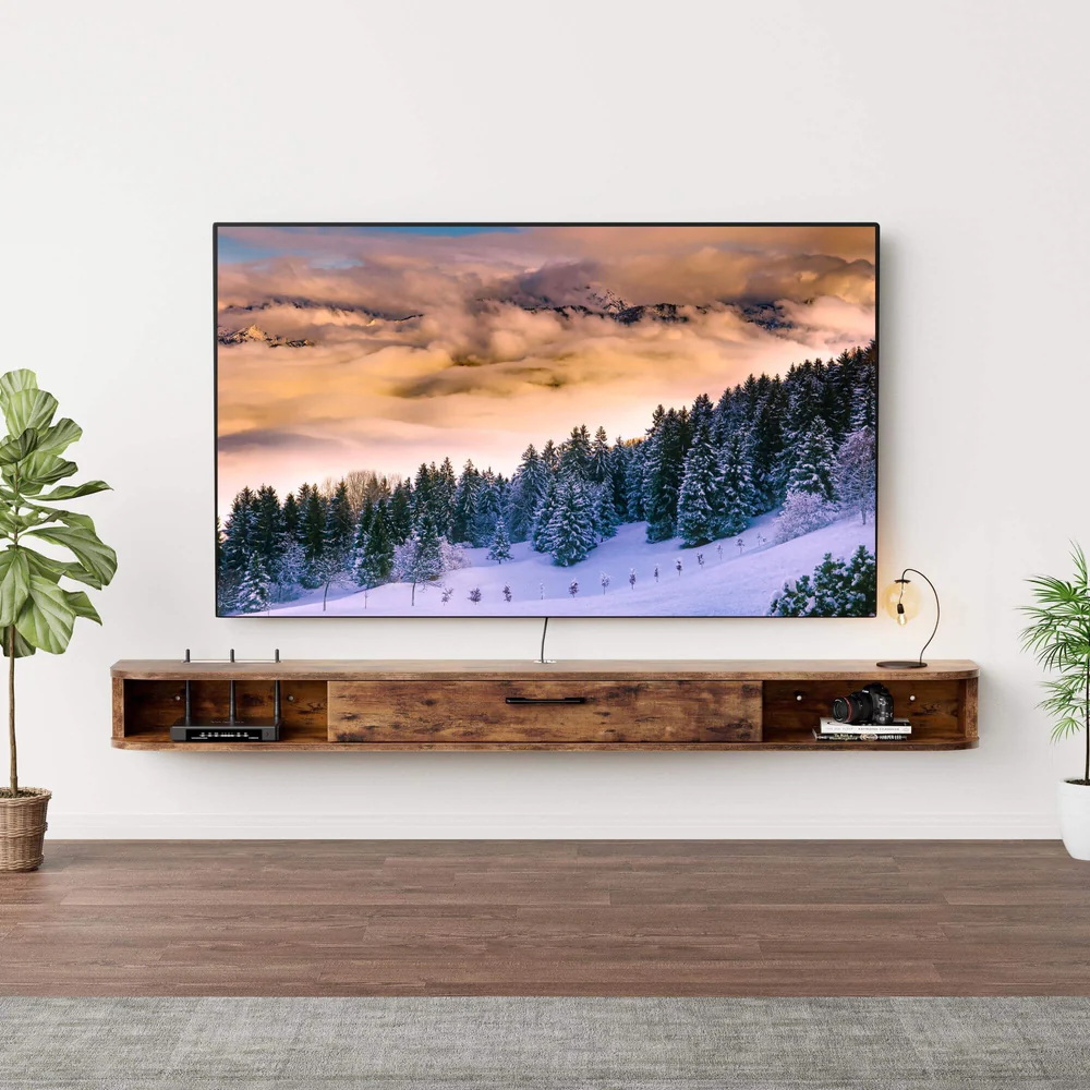 tv mounted on wall in Reed’s Crossing South Hillsboro home
